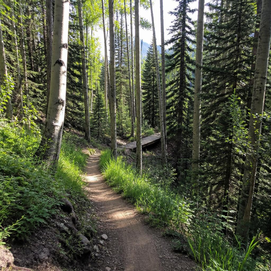 Outdoor recreation & trails